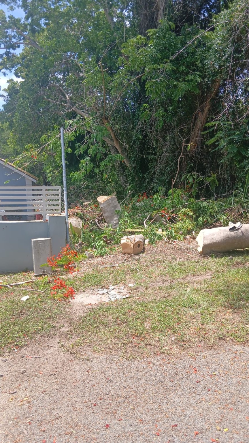 Tree removal cleanup and hauling work by KJ Landscaping General Maintenance
